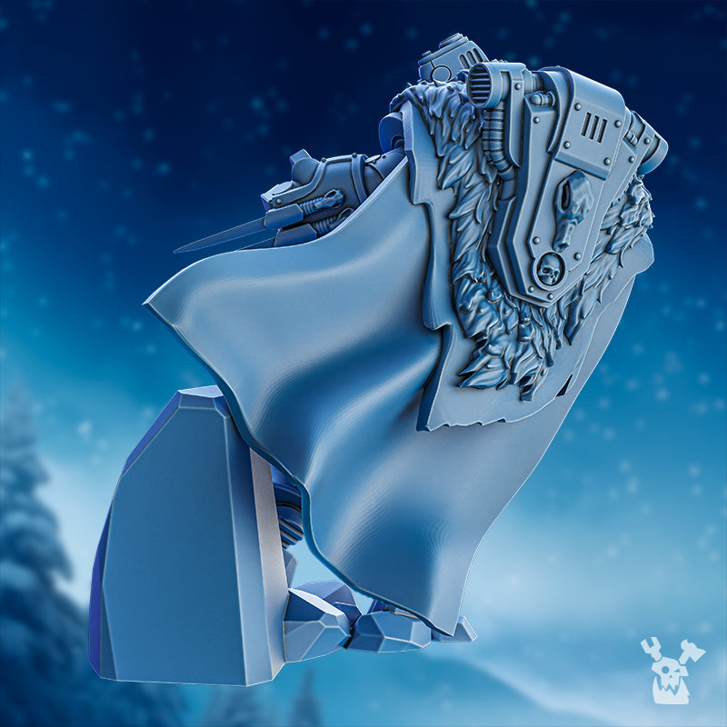 Rear view of Cass the Prankster by DakkaDakka, showing the flowing cloak, fur cape detail, armor plating, weapon details, and rocky scenic base.