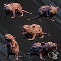 Crypt’s Rats fantasy resin miniatures by DakkaDakka, showing five rat creature models for dungeon, sewer, crypt, and tabletop RPG encounters.