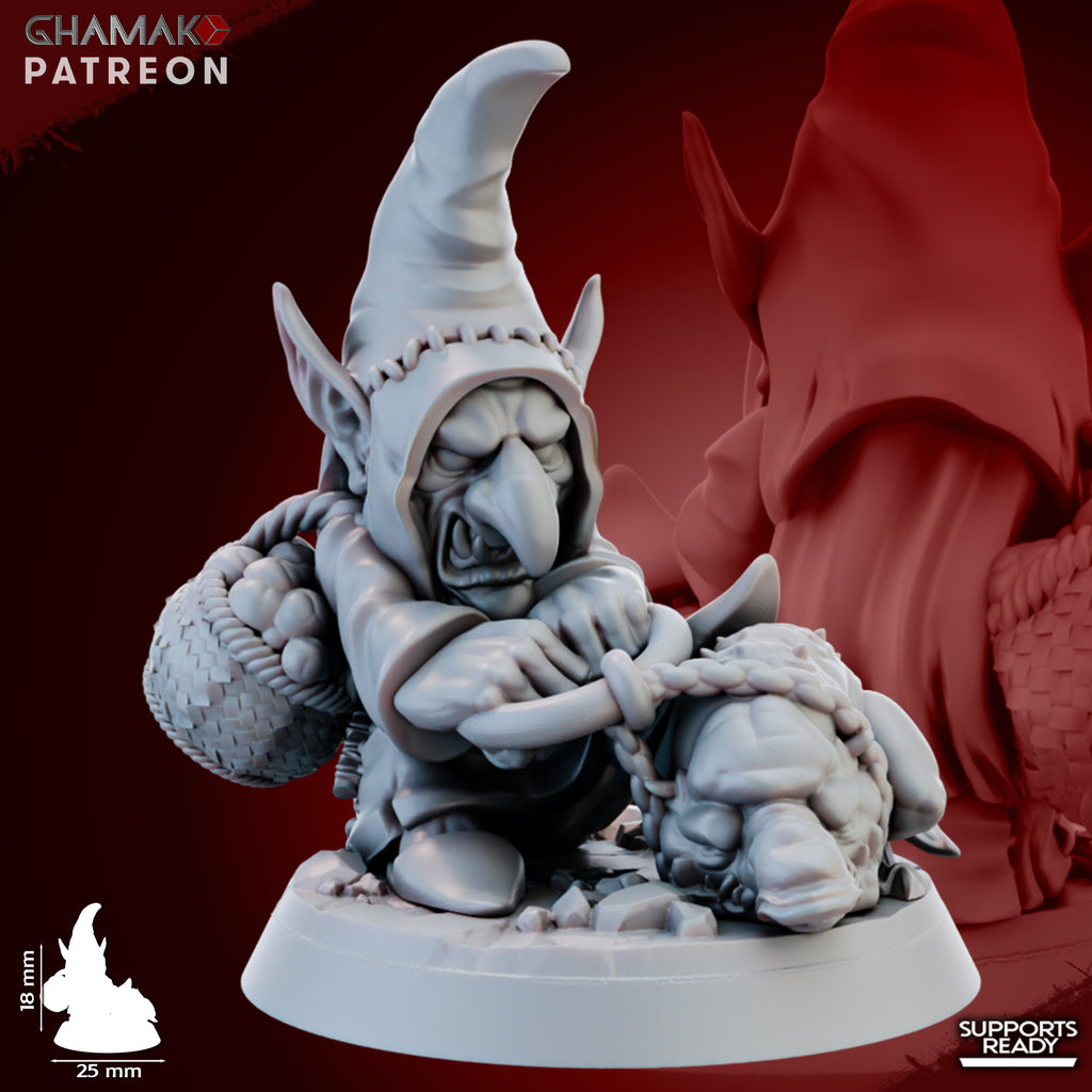Individual Porcini Sniffer fantasy resin miniature by Ghamak, showing a small goblin mushroom-sniffer character with 25mm round bases printed by CeeForge.