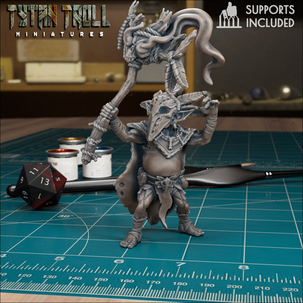 Goblin Shaman Pack fantasy resin miniatures by TytanTroll, showing model 3 of 4 goblin spellcasters with magical details printed by CeeForge.