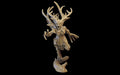 Branchwraith - Sylvan Elves - Ilhadiel