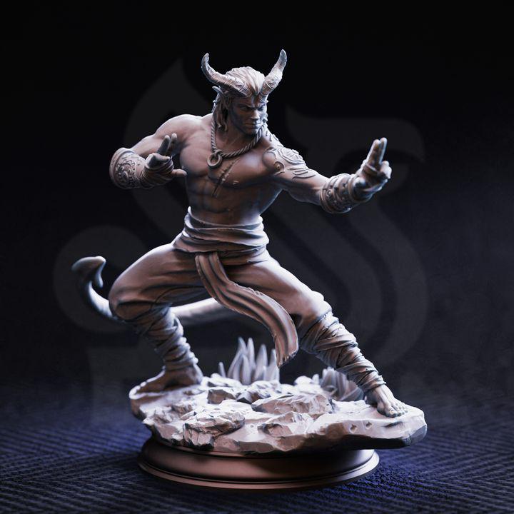 Tiefling Monk Miniature - Martial Artist Verek "Heartless" of The Spit - DM Stash