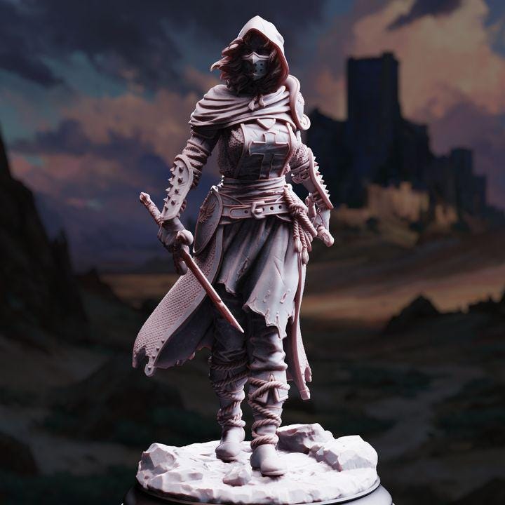 Female Human Rogue Assassin Miniature - Delyna ro Unviel - DM Stash
