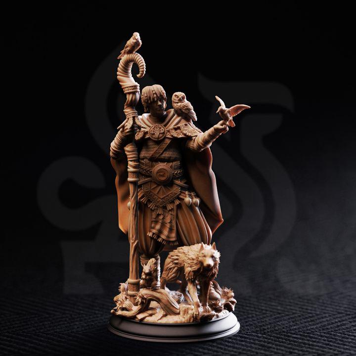Chamán Amigo de los Animales - Gwambari - DM Stash