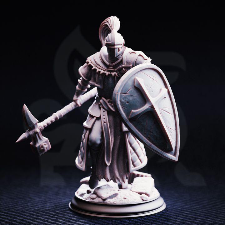 Conquest Paladin- Jeremus of Jochenia - DM Stash
