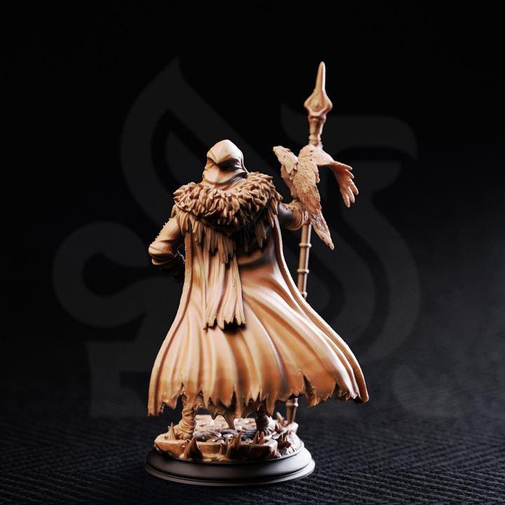 The One Eyed Wanderer - Odin - DM Stash
