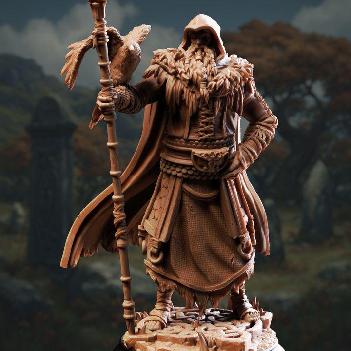 The One Eyed Wanderer - Odin - DM Stash