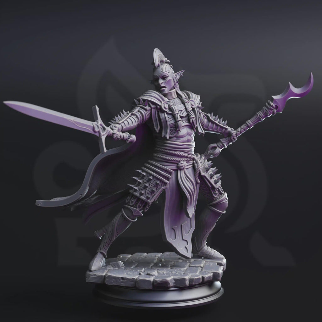 Dark Elf Paladin Fighter Miniature - The Ordained, Face of House Glydrin - DM Stash