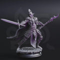 Dark Elf Paladin Fighter Miniature - The Ordained, Face of House Glydrin - DM Stash