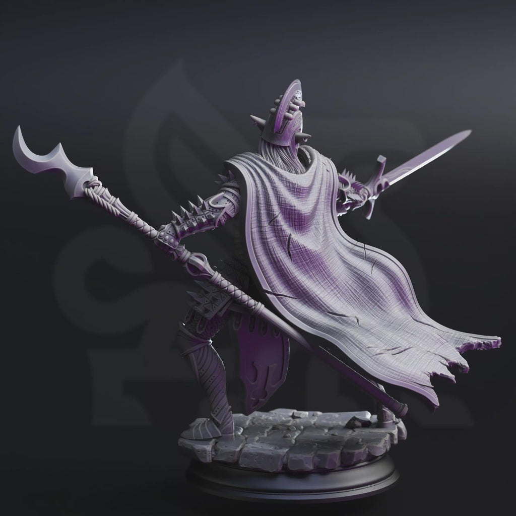 Dark Elf Paladin Fighter Miniature - The Ordained, Face of House Glydrin - DM Stash