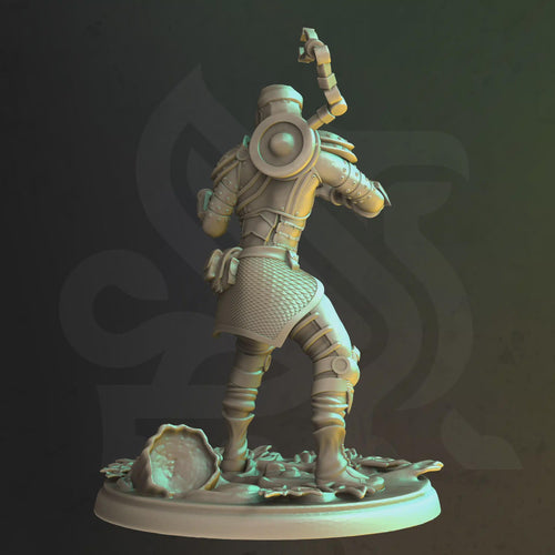Comando – Henry - Alijo de DM