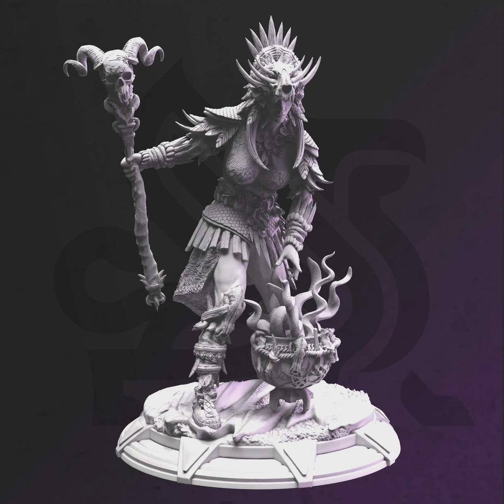 Driga – Shaman Wise-Woman - DM Stash