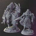 Undead Elf Paladin Fighter Miniature - Yinsylim – The Fallen Paladin - DM Stash